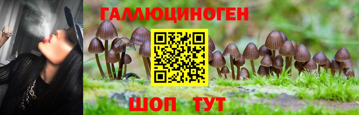 Галлюциногенные грибы GOLDEN TEACHER  Вход с VPN  Мытищи 